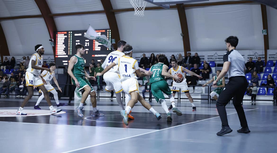 Scandone avellino vs stella ebk